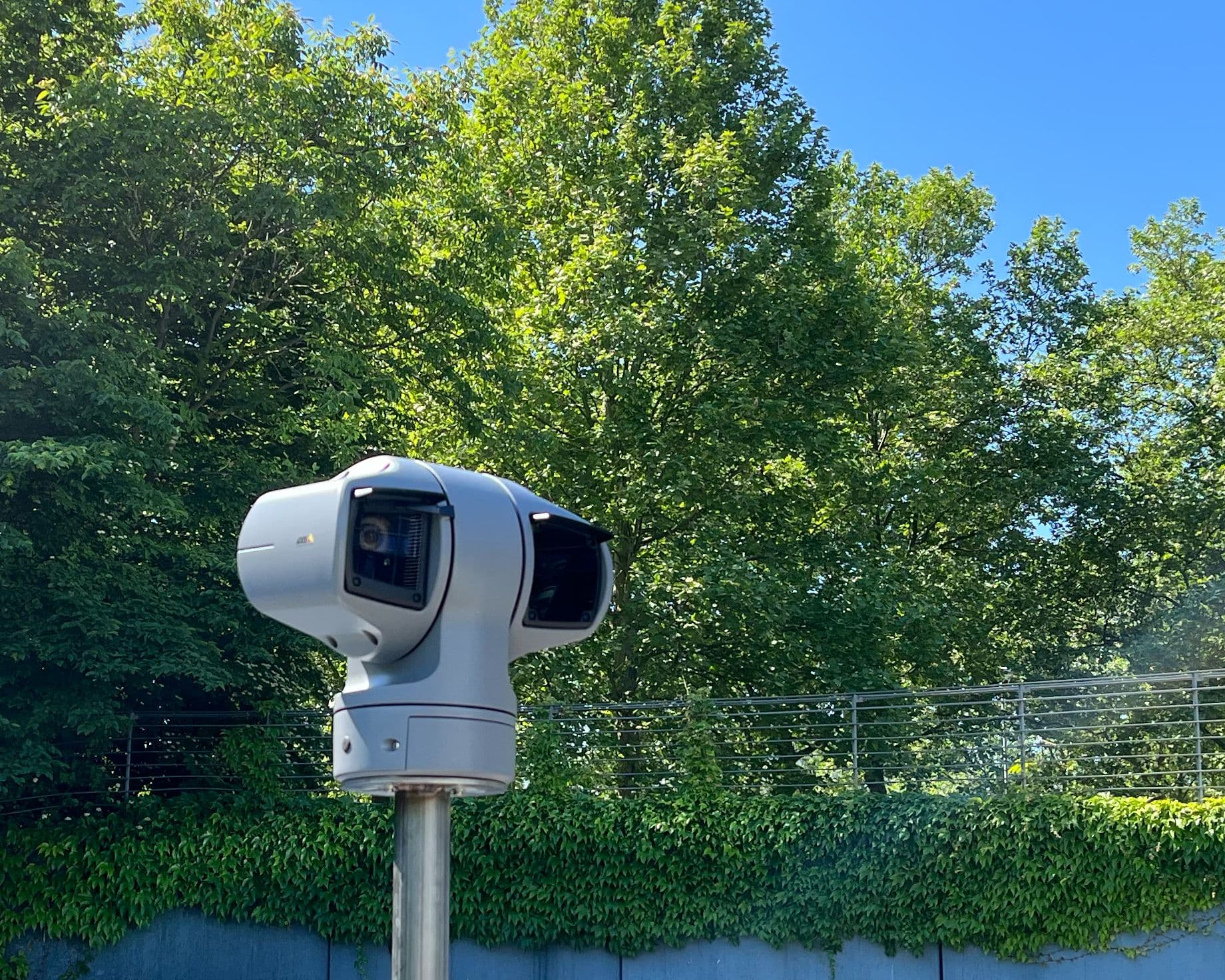 Weiße PTZ-Schwenk-Neige-Kamera mit Doppeloptik auf einem Edelstahlmast im Außenbereich, im Hintergrund begrünte Mauer und Bäume.